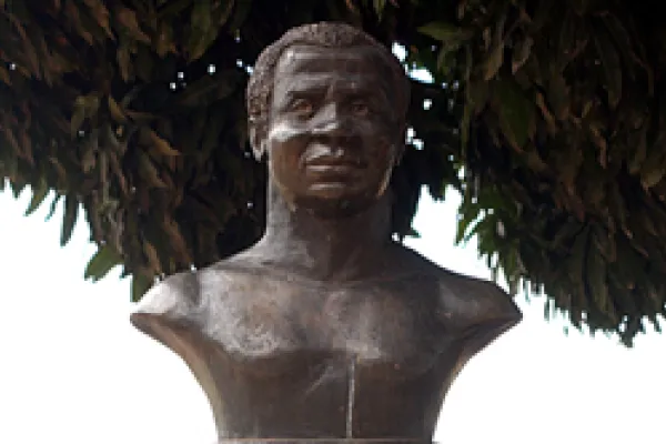 Zumbidospalmares